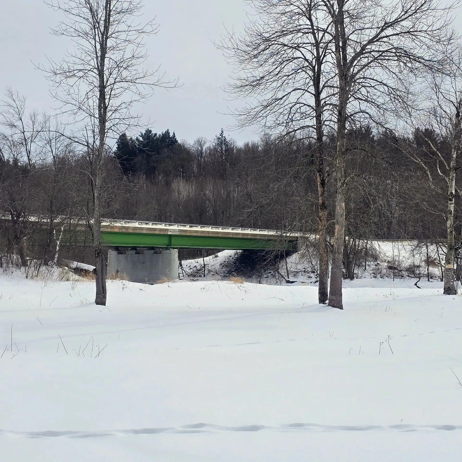 31973506-1