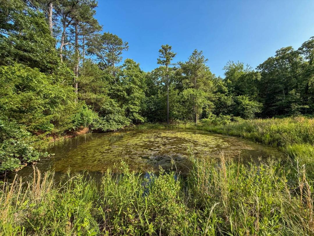 1025.82 Acres at 0000 Old Moyers Road