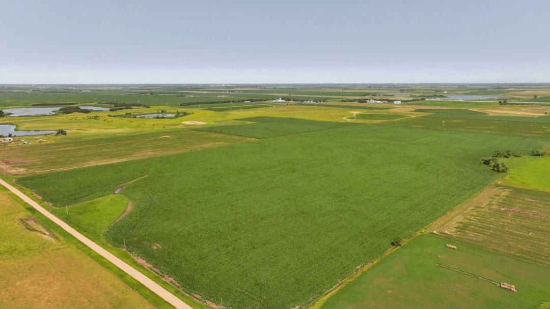 McCook County, SD Land Auction - 80± Acres