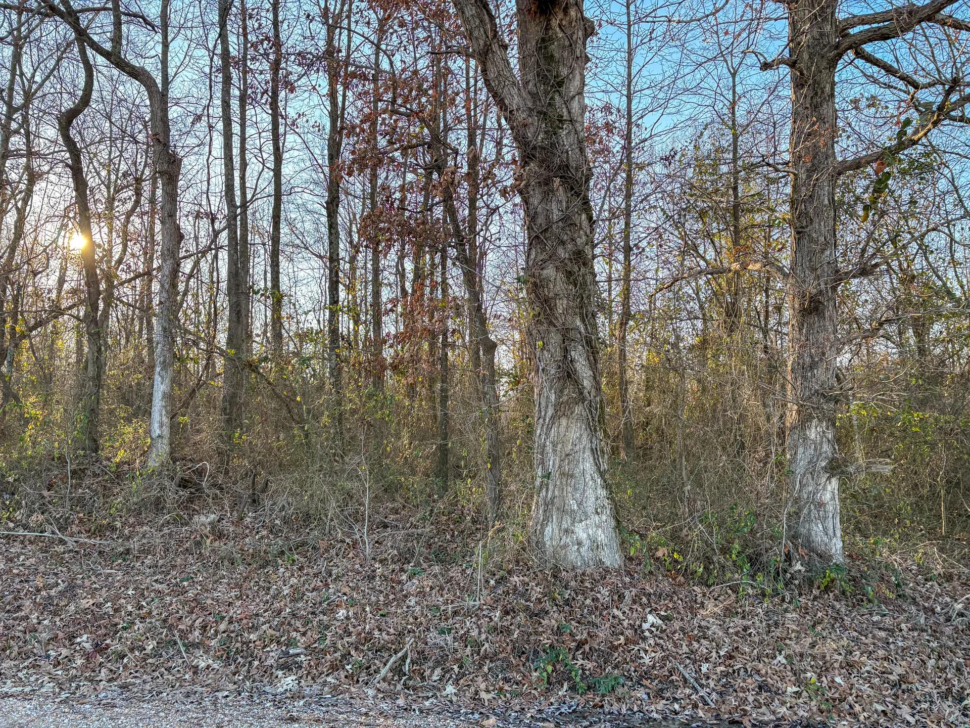 32042764-0