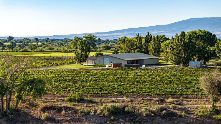 Berkeley Estates Winery Building & 13 acres