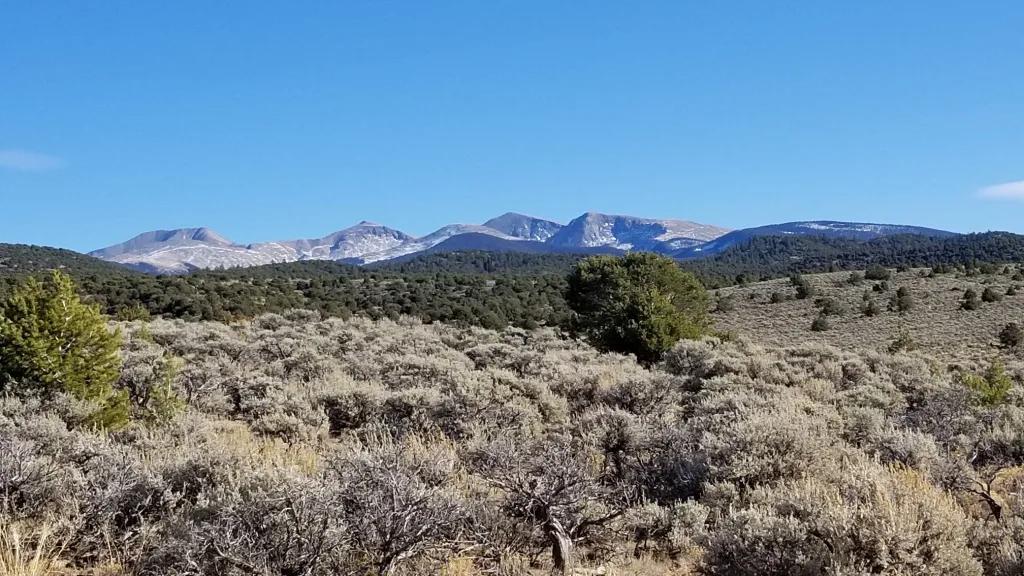 Rolling Hills - Seasonal Creek - Incredible Views in Southern Colorado