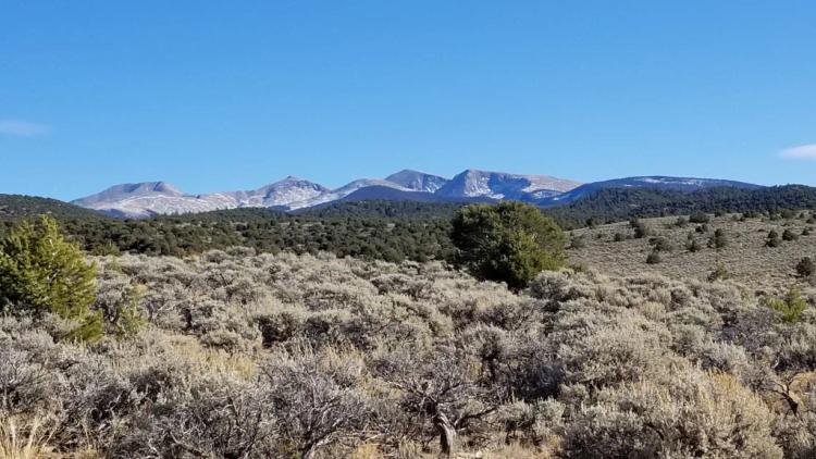 Rolling Hills - Seasonal Creek - Incredible Views in Southern Colorado