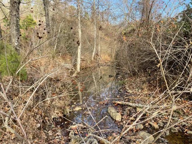 153 ACRES KIAMICHI MOUNTAIN WITH CREEK FRONTAGE HONUBIA OKLAHOMA