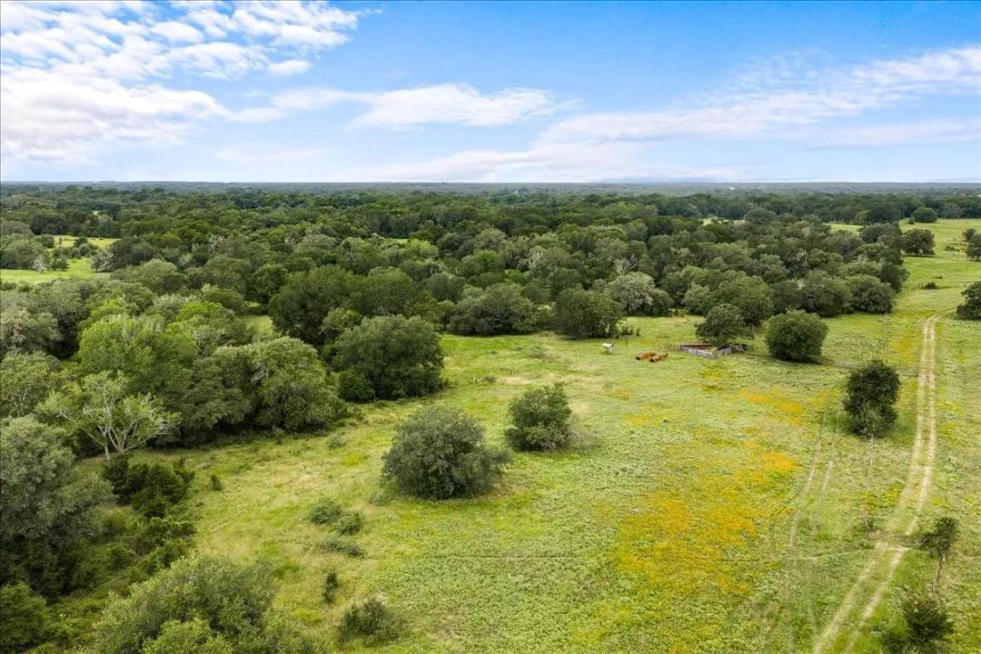 Property from 8413 Mach Road - KW