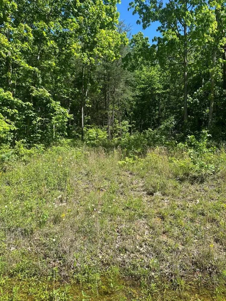 Lot 239 Hood Ave