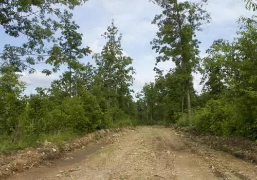 5.03 Acre Thunder Mountain Ranch