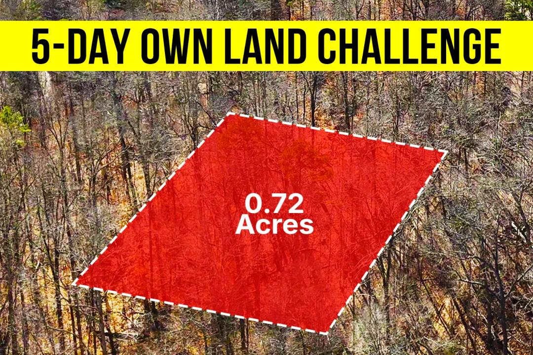 0.72-Acre Wooded Lot In GA - Quiet Area - Near Lake - Owner Financing