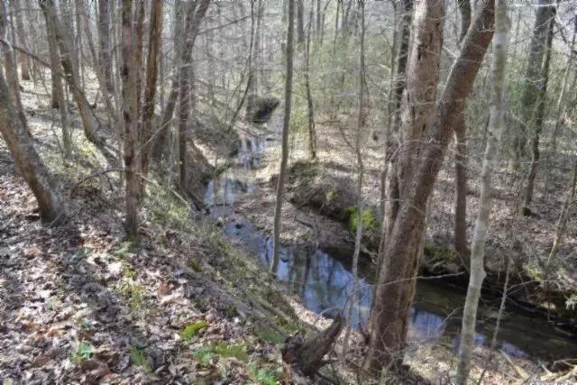 87-/+ AC W/ CREEK, POND, SRRING, CAVE, WILDLIFE, PASTURE AREAS, TRAILS, RD FRONTAGE, MTN VIEWS, BUILDING SITES