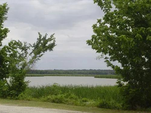 Trinity County, Trinity Forest