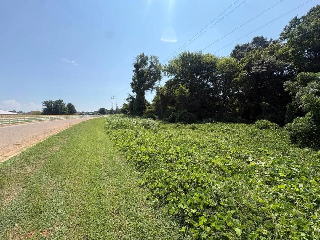AL- Moundville Subdivision- Full Property Package