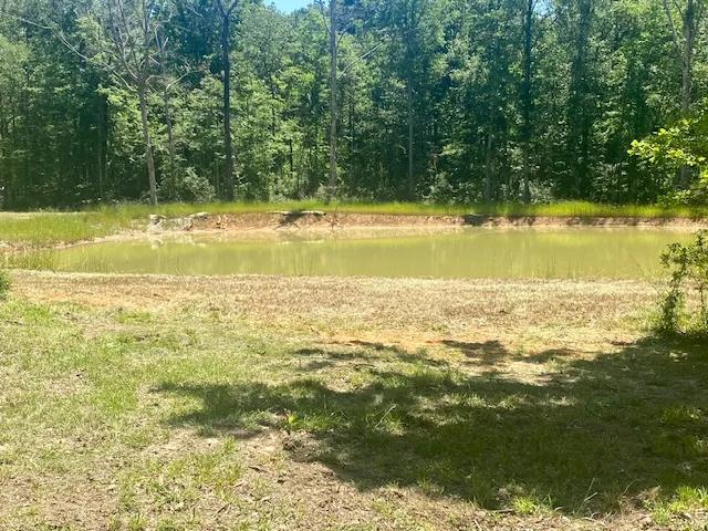 Camp and 49 acres Amite Co.