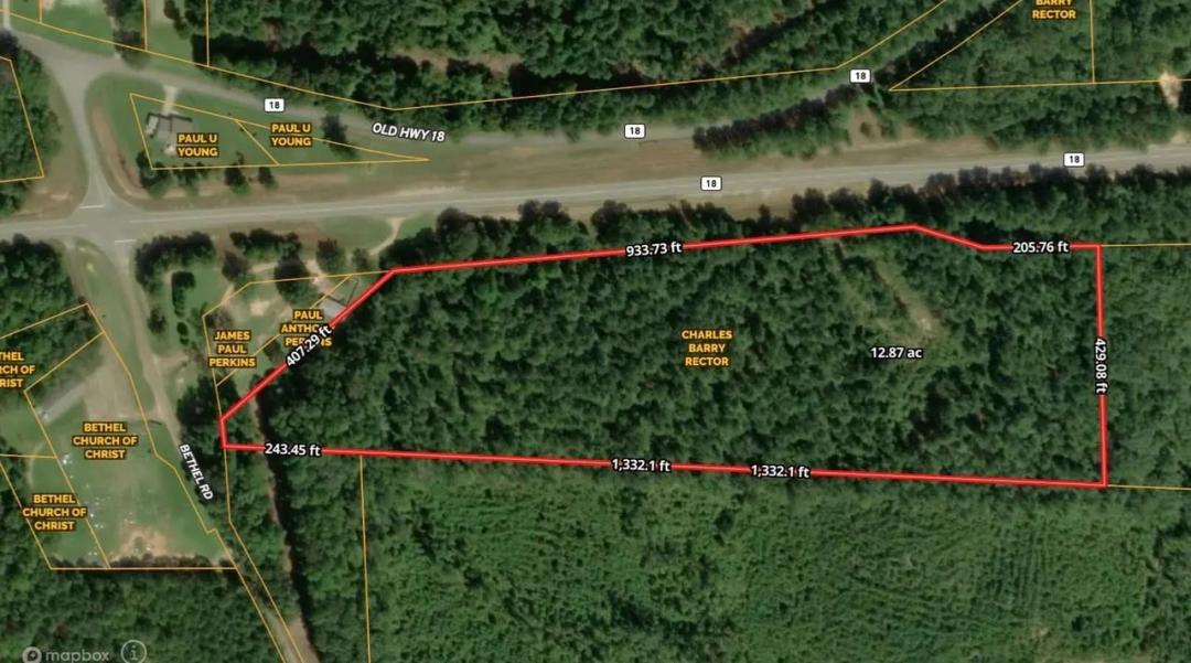 +/- 12.8 Acres Vernon Alabama