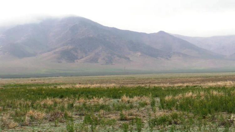 40 acres in Grass Valley - 16 miles South of Winnemucca