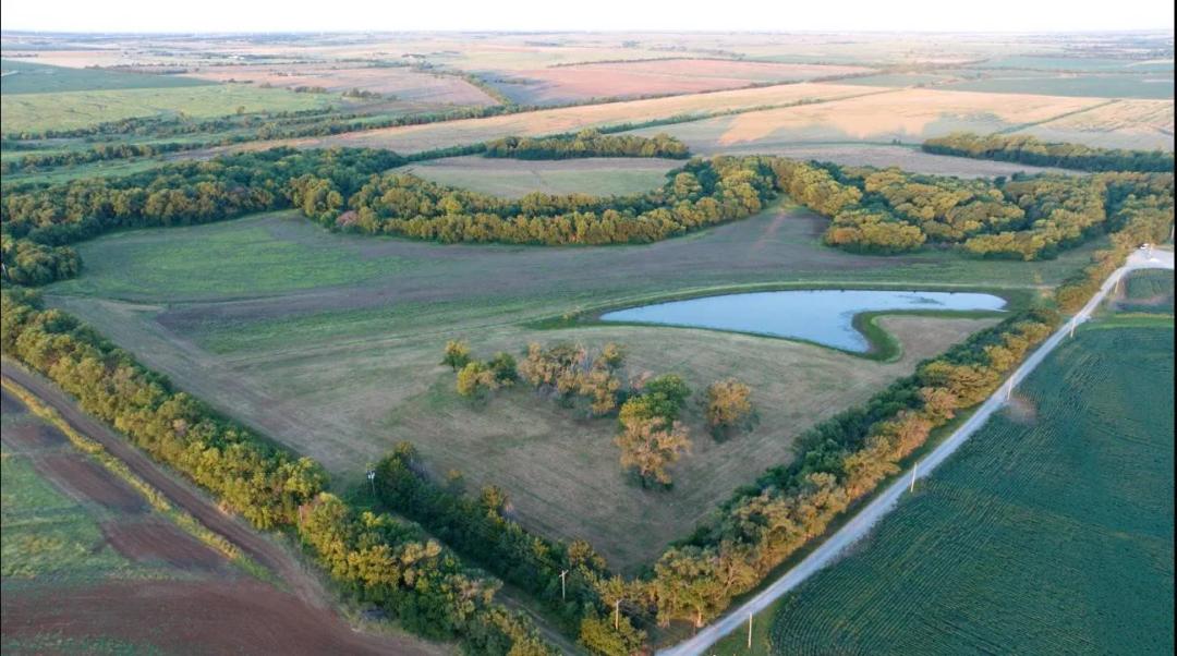 Prime 48.5-Acre Build or Recreational Opportunity