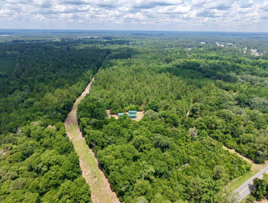 Varnville Hickory Hill Hunting Land Hampton Co, SC Lowcountry