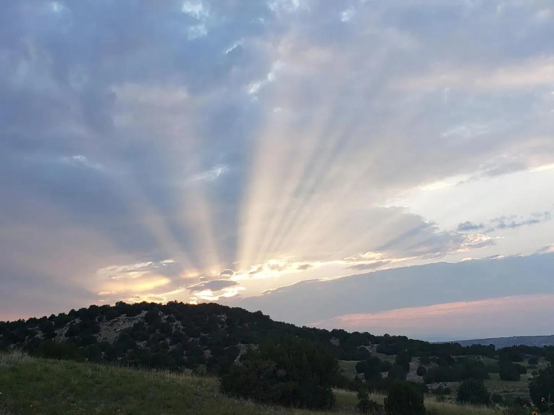 Cash Ranch