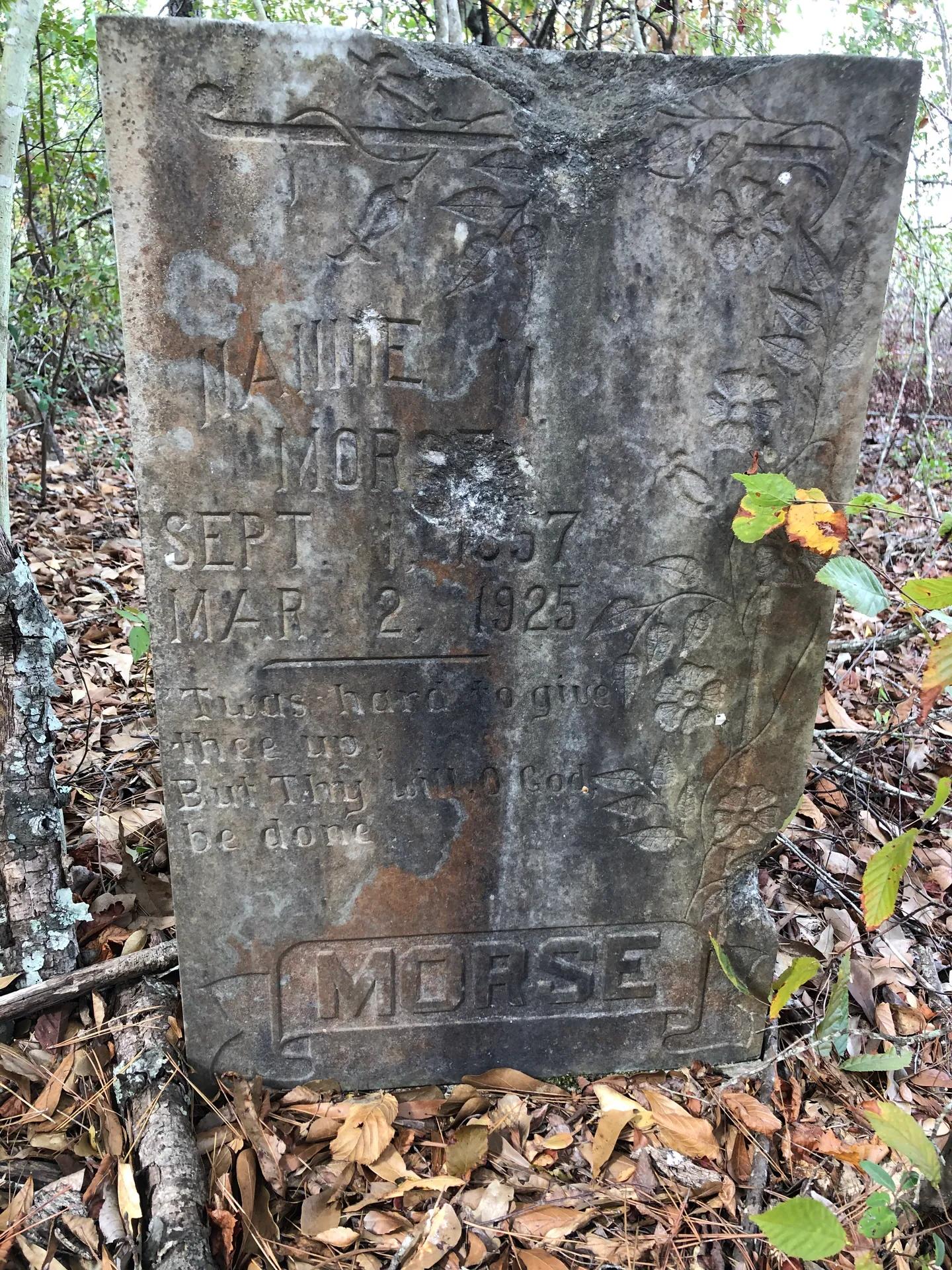 32285901-31