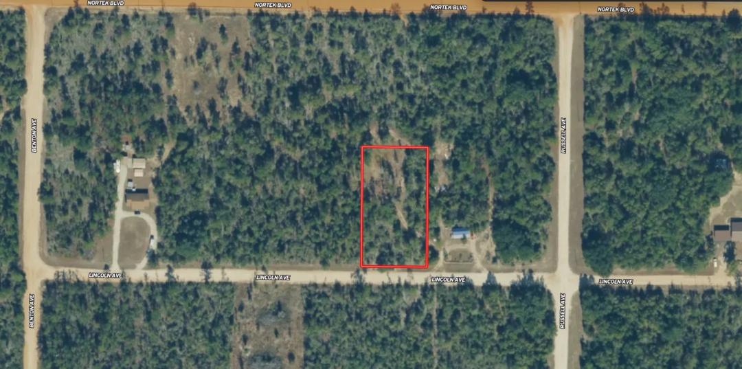 1.14-Acre Wooded Lot in Compass Lake, Alford FL