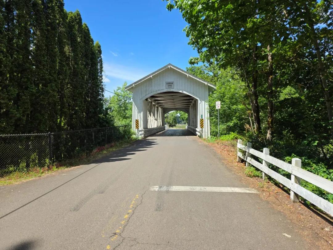 Forested Retreat - 27.5 acres