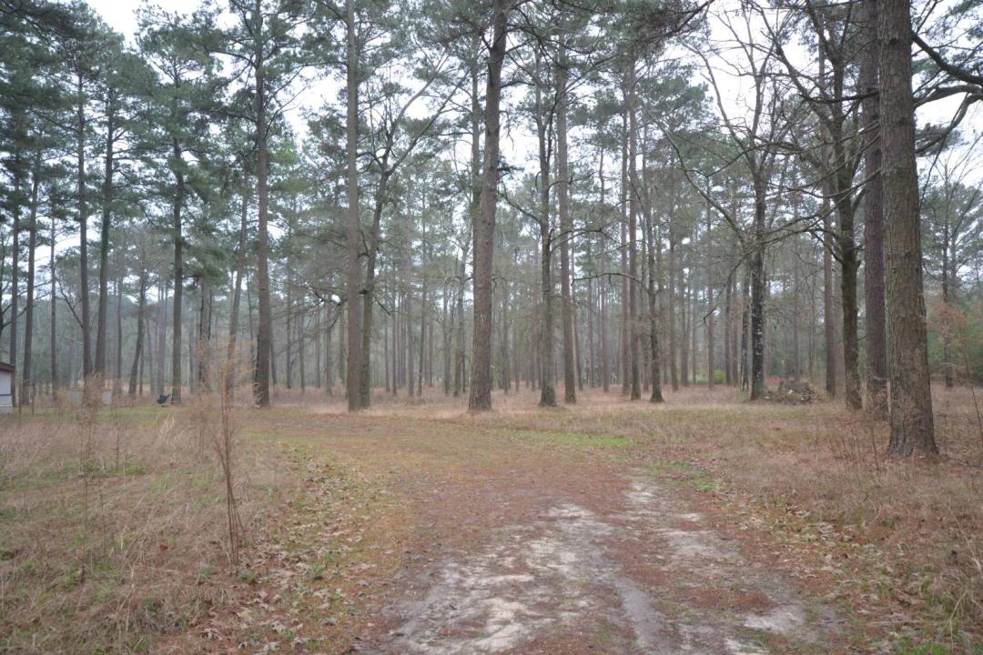13.00 Acres at 00 Columbia Road 47