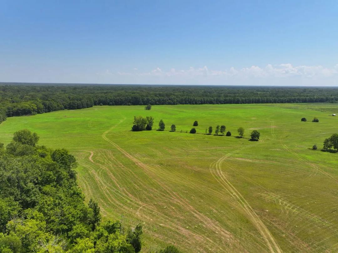Beautiful Estate lot in East Montgomery