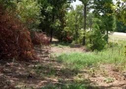 oklahoma-pushmataha-coun-2