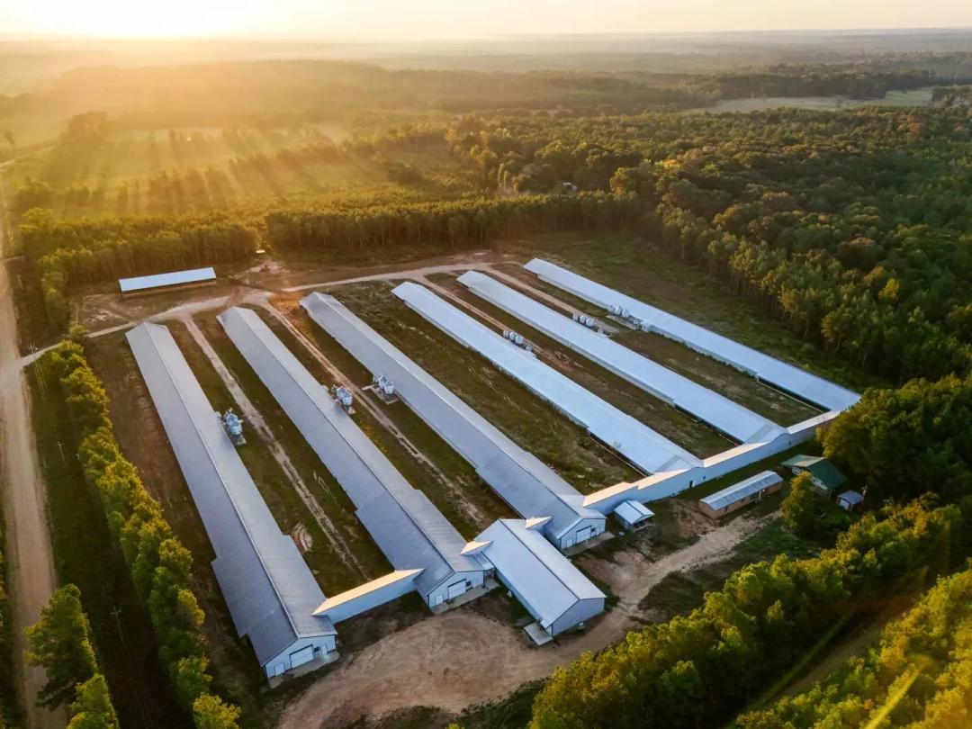 28.46 Acre Poultry Farm in Union County, AR 