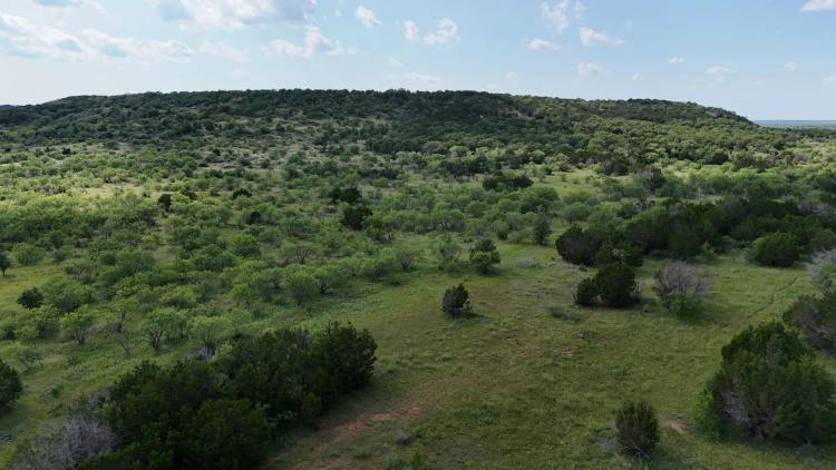 120 +/- Acres...Excellent Hunting, High Hills, Surface water for wildlife