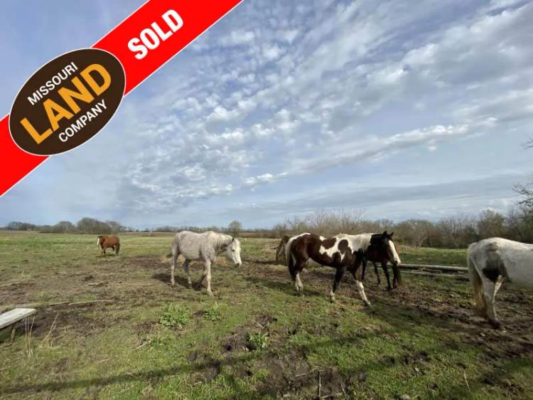 Equestrian Dream in Pettis County,  MO