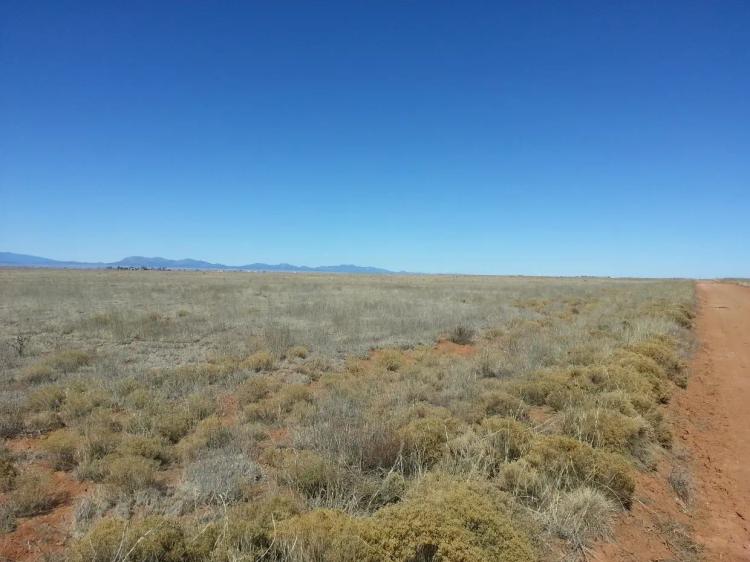 Albuquerque East Valley - One Full Acre