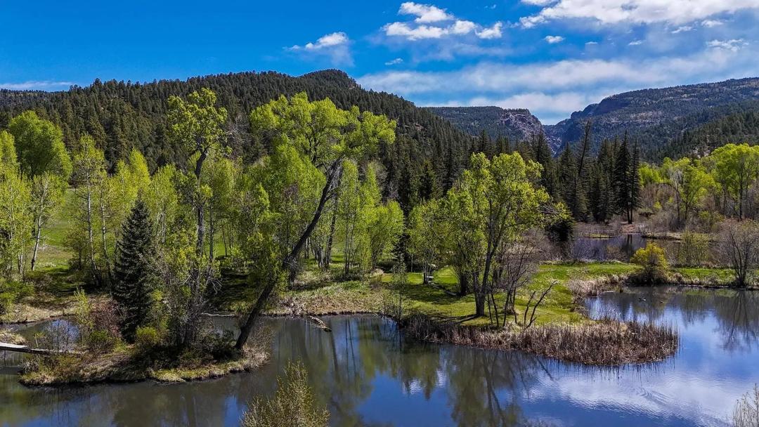 Old Ca&ntilde;ones Creek Ranch