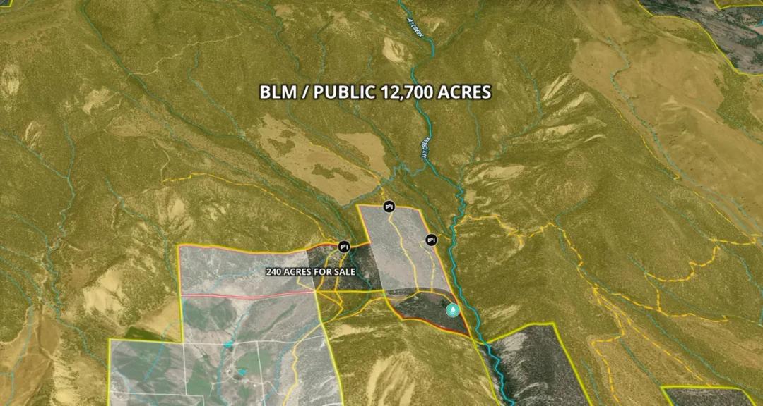 Wolf Park Inholding Hunting Ranch