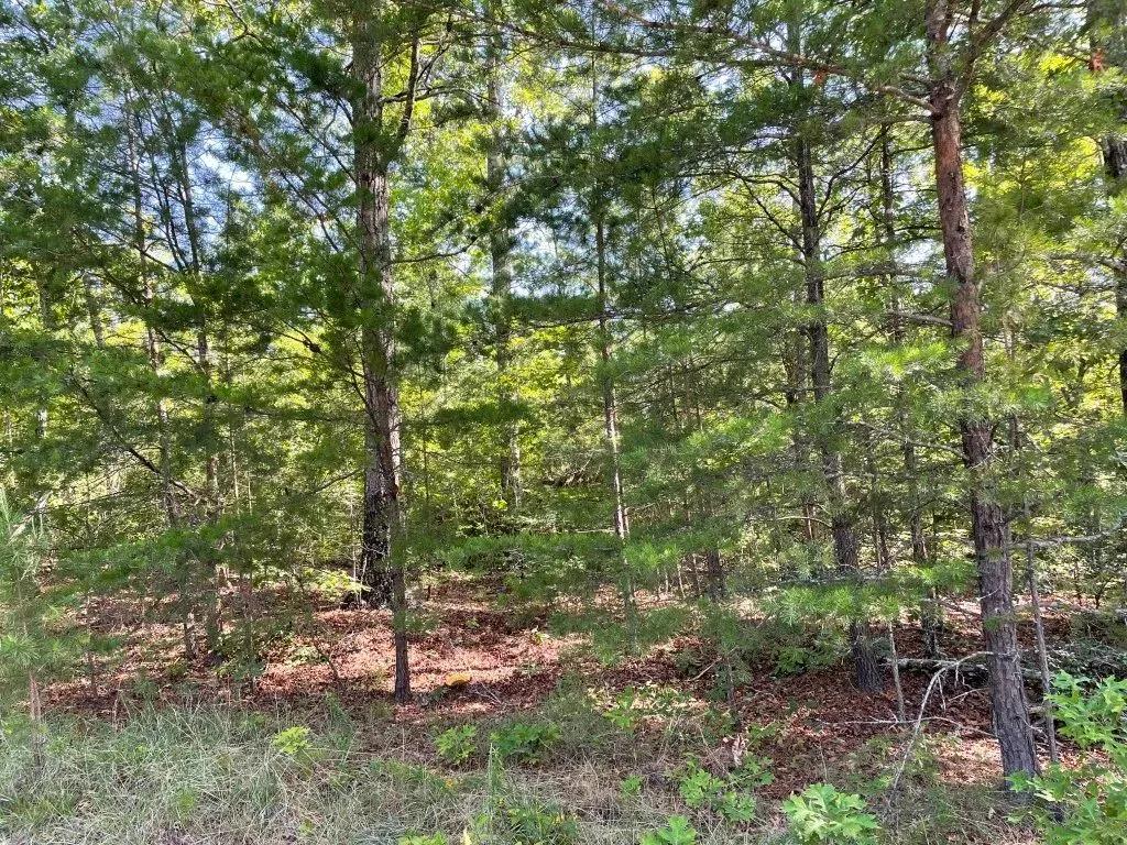 +/- 10.6 Acres - Tract 6 on Whitewater Point Road in Tamassee, SC