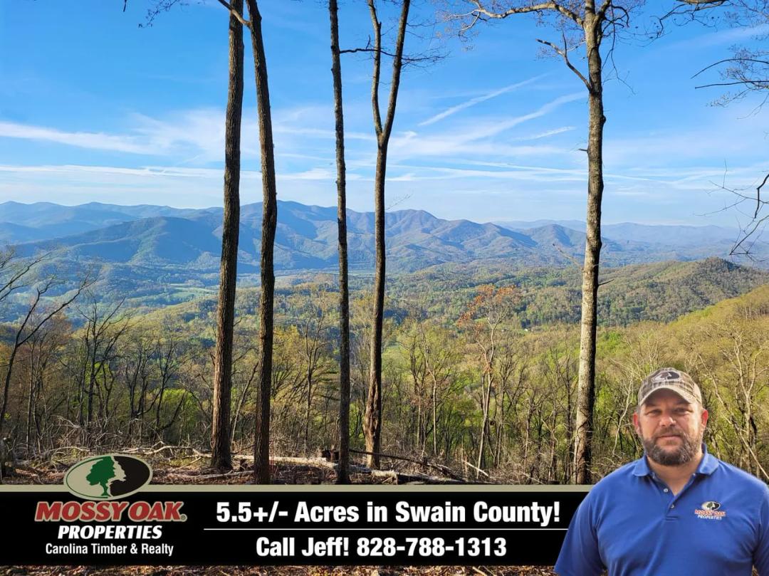5.5+/- Acres bordering GREAT SMOKY MTN. NATIONAL PARK! Bryson City!