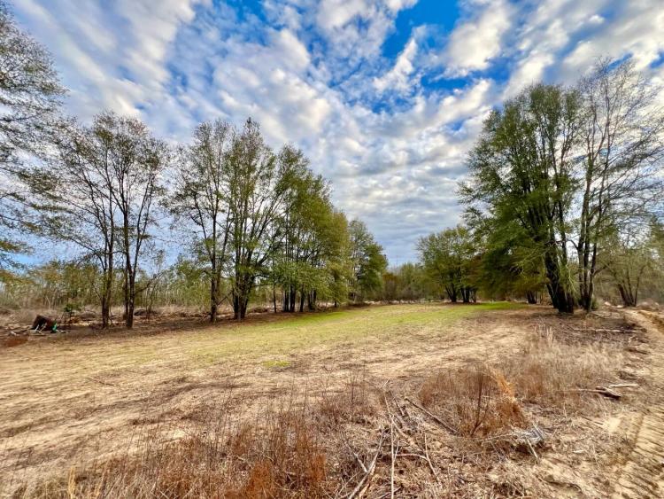 104.00 Acres at 0 Highway 10