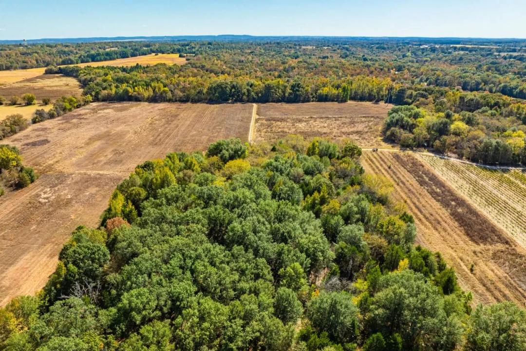 Brownsboro, Texas 160 Acres