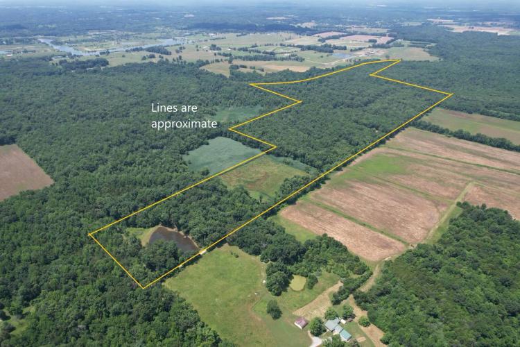 Prime Deer, Turkey Hunting &amp; Recreational Property