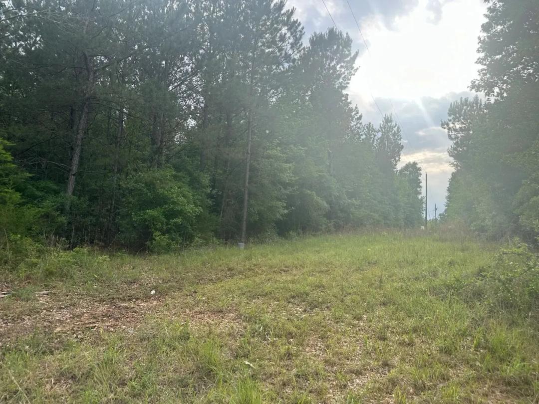 13.6+/- Acres in Copiah County, MS