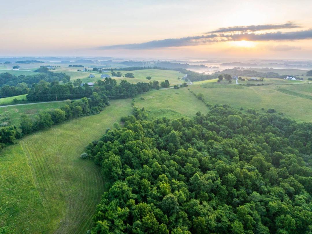 Paradise Hills Build Site With Acreage