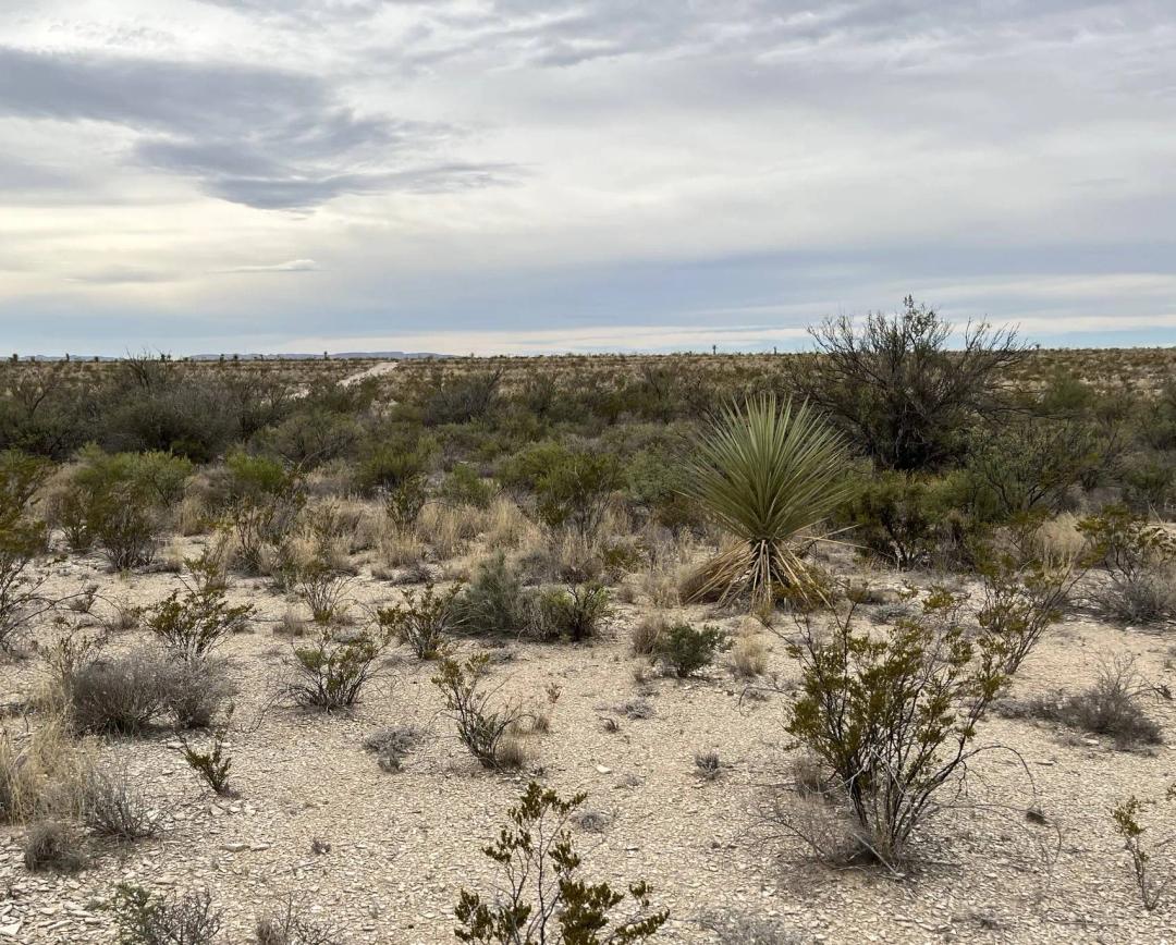 54 Pecos Rd, 45+ Ac, Survey/Off Grid, Easy Access