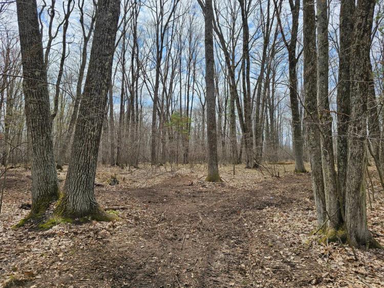 3 Acre Campers Retreat