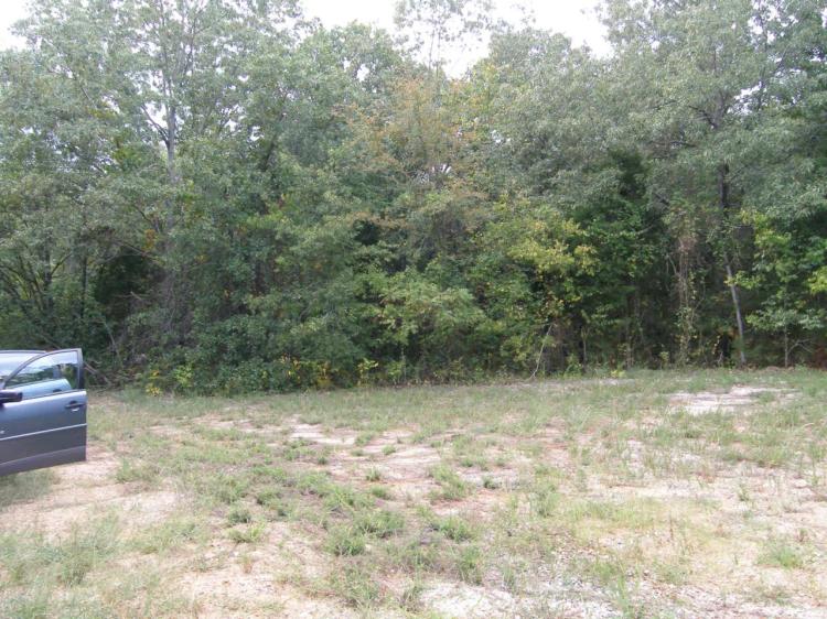 Residential Lot in Cherokee Village * Corner Lot * Trees * Utilities at street