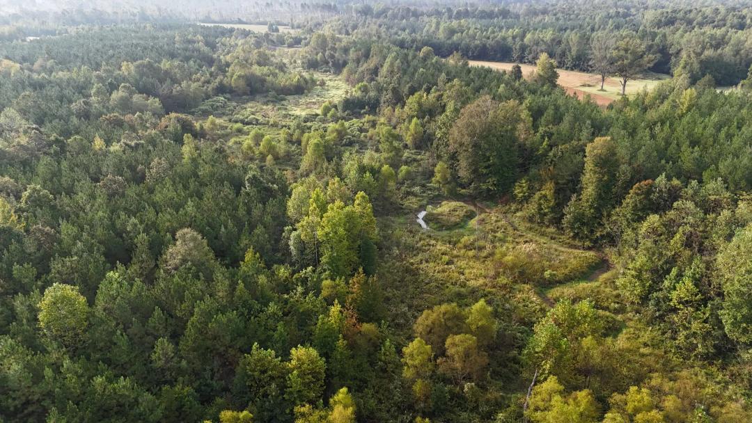 34.2 Acres in Pontotoc County, MS 
