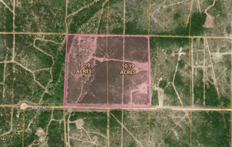 000 Bobcat Dr, George West, TX 