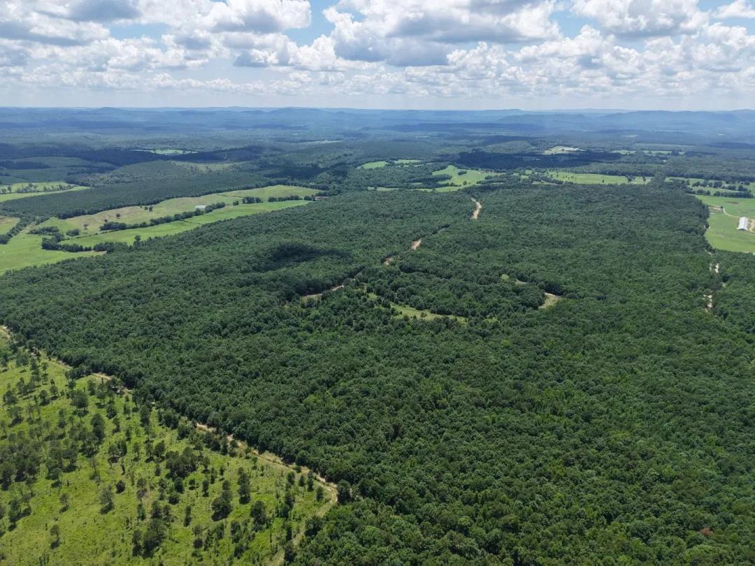 34.40 Acres [Tract 7] in McCurtain County, OK