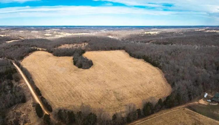 Bailey Branch 200