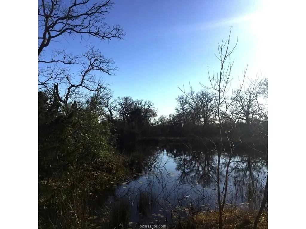 29.89 Acres of Land for Sale in Somerville, Texas