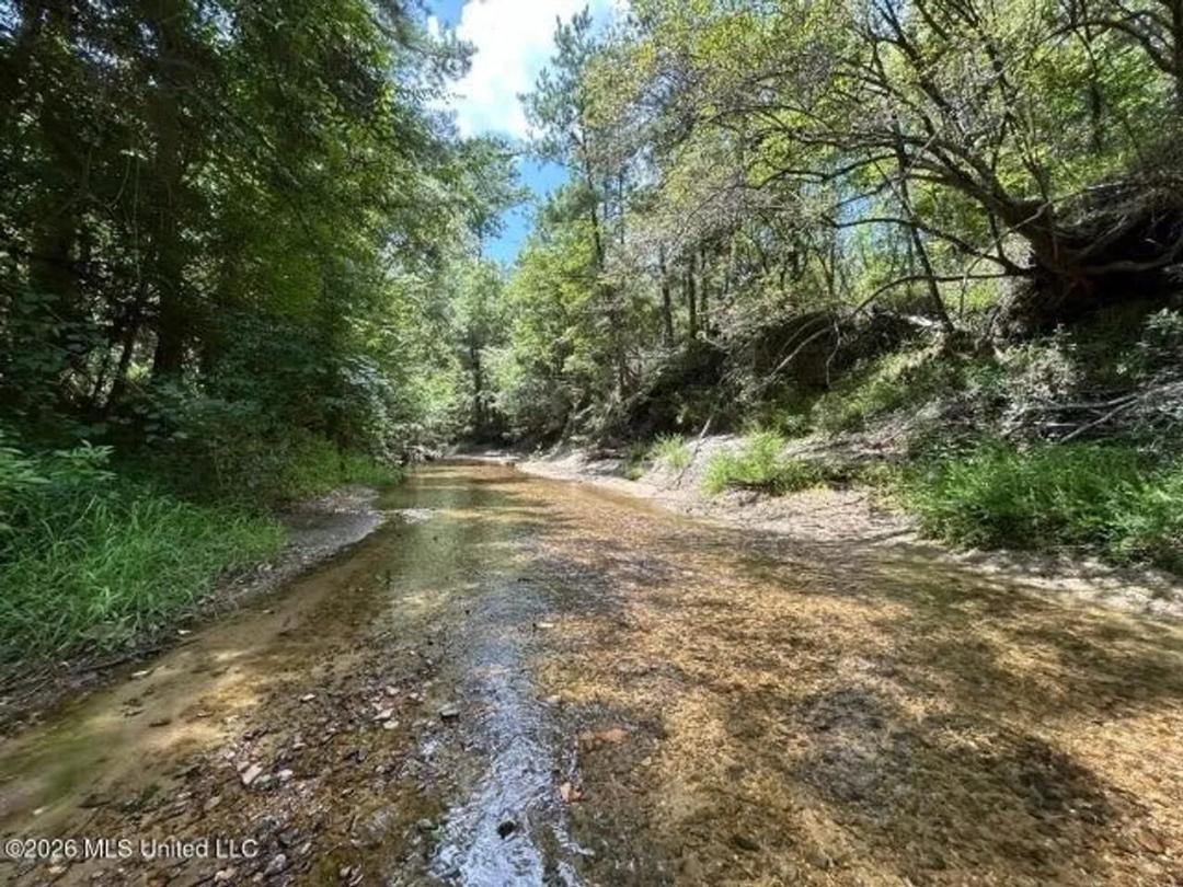   8± Acres in McCall Creek, MS with Creek Frontage