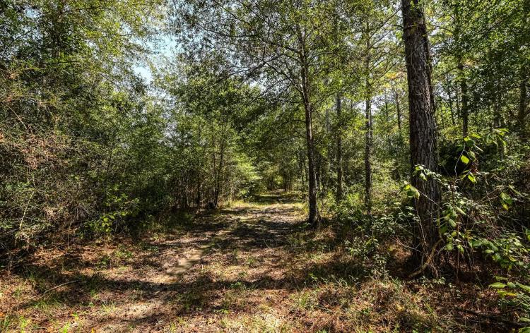 0 Hwy 105, Hull, TX 77564